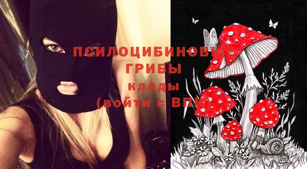 молекула духа Алексин