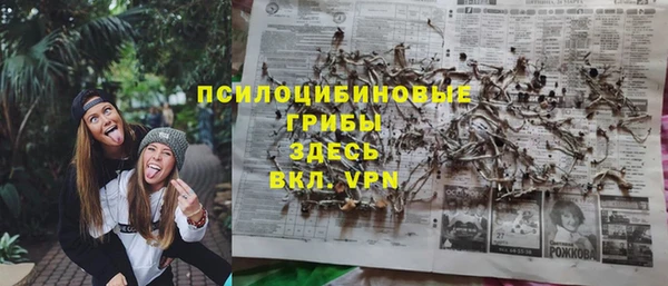 молекула духа Алексин