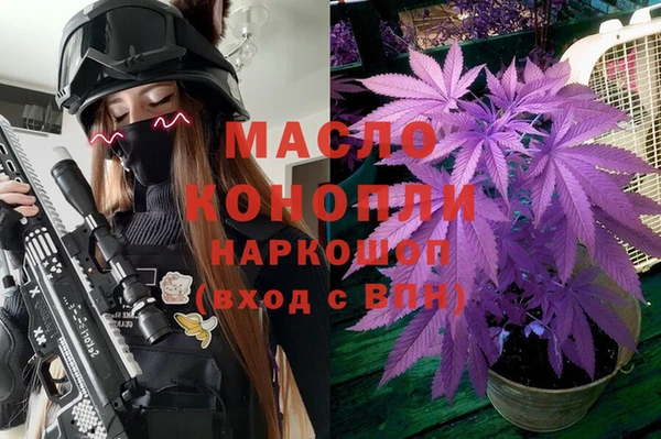 молекула духа Алексин