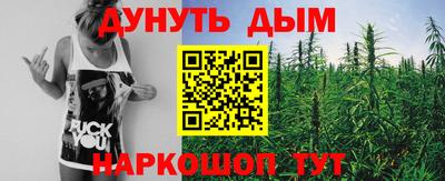 шишки Гулькевичи