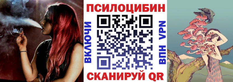 Галлюциногенные грибы MAGIC MUSHROOMS  продажа наркотиков  Петровск 