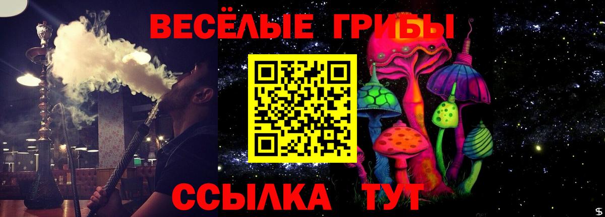Псилоцибиновые грибы Cubensis Петровск