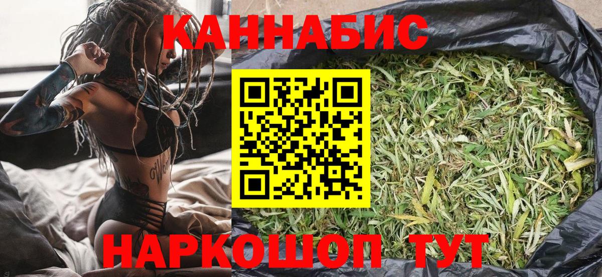 Каннабис сатива Петровск